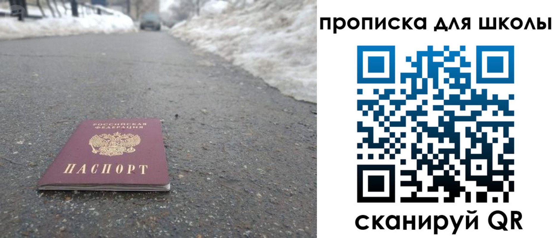 прописка для школы в Зеленогорске